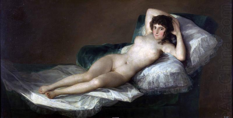 Francisco Goya La maja desnuda china oil painting image
